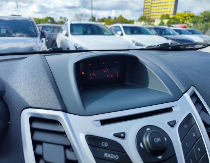 Ford Fiesta 14