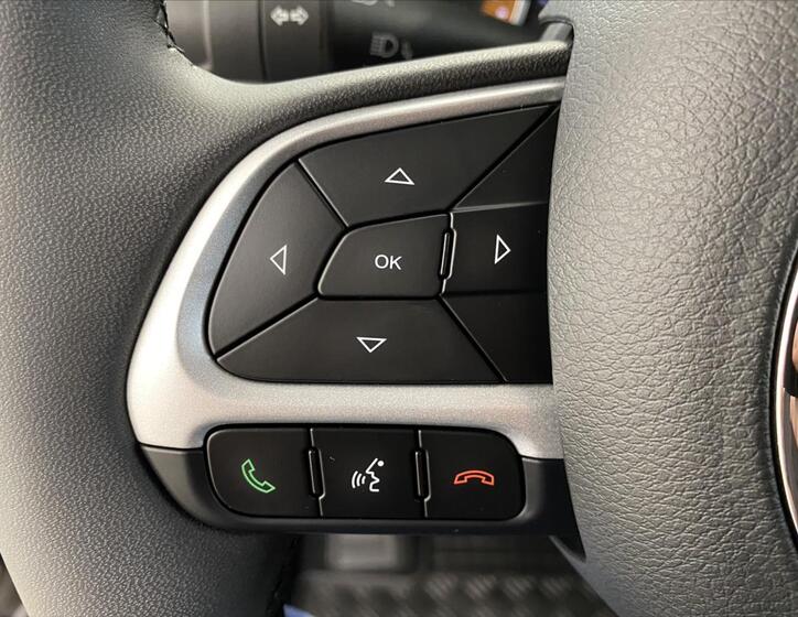 Jeep Renegade 20
