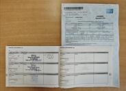 Renault Clio 21