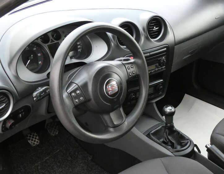 Seat Ibiza 21