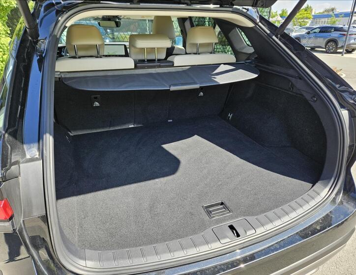 Lexus RX 450h 12
