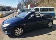 Peugeot 206 19