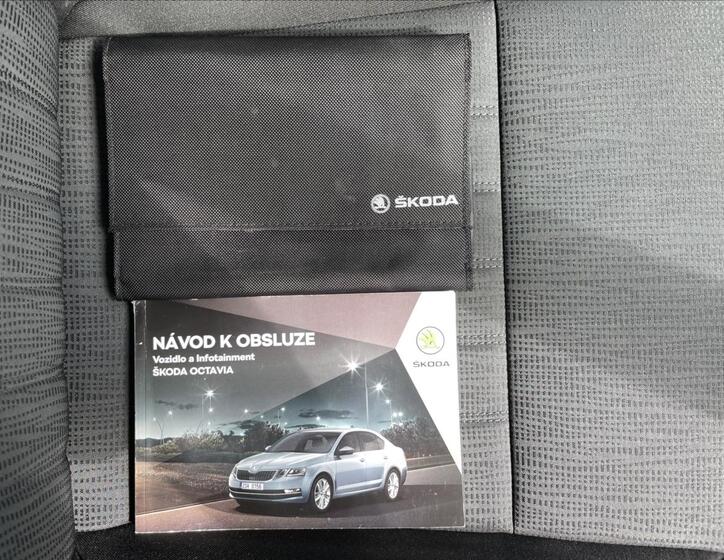 Škoda Octavia 19
