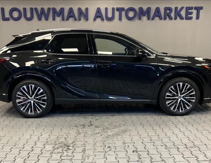 Lexus RX 350h 14