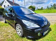 Peugeot 307 46