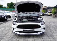 Ford Mustang 15
