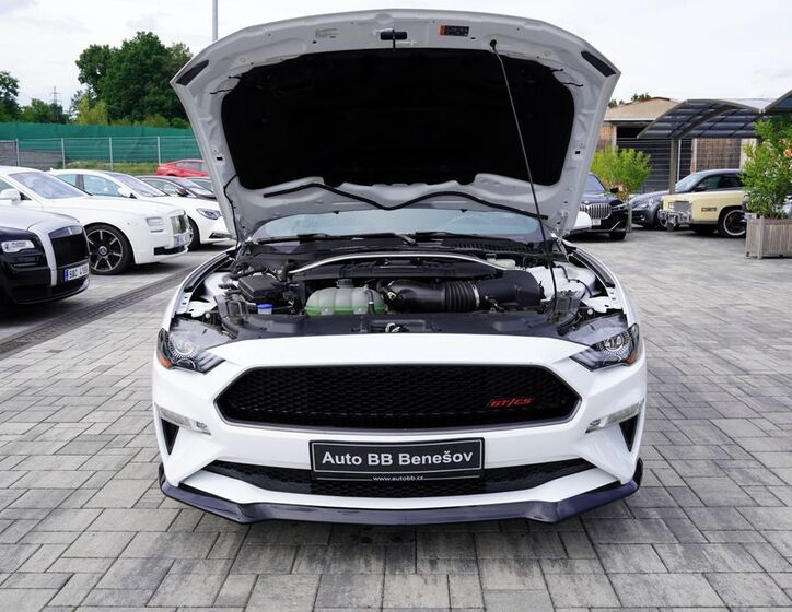 Ford Mustang 15