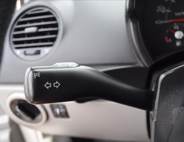 Volkswagen New Beetle 30
