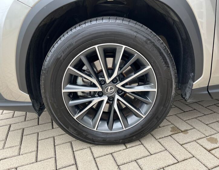 Lexus NX 350h 30