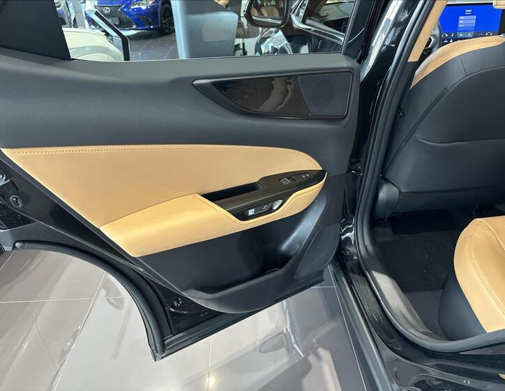 Lexus NX 450h plus 16