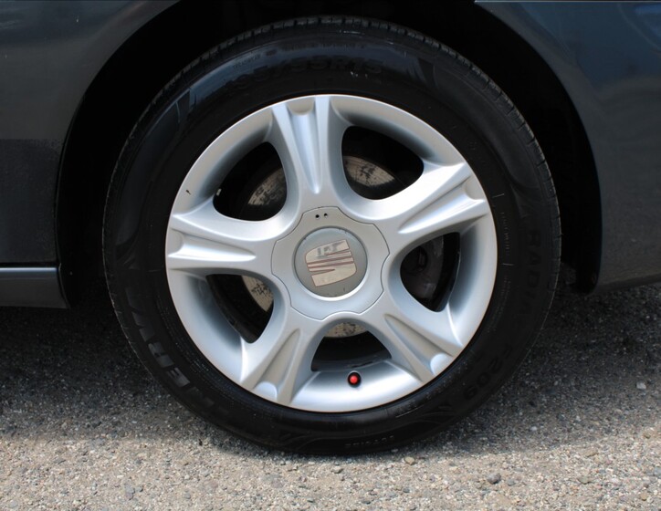 Seat Ibiza 25