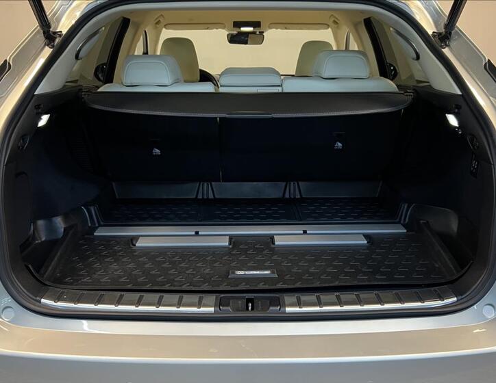Lexus RX 450h 9
