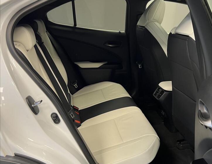 Lexus UX 250h 10