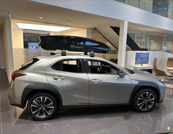 Lexus UX 250h 8
