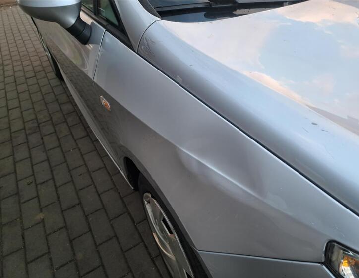 Seat Ibiza 39