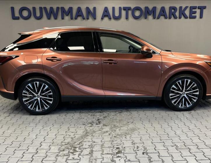 Lexus RX 450h plus 14