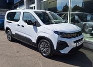 Peugeot Rifter 9