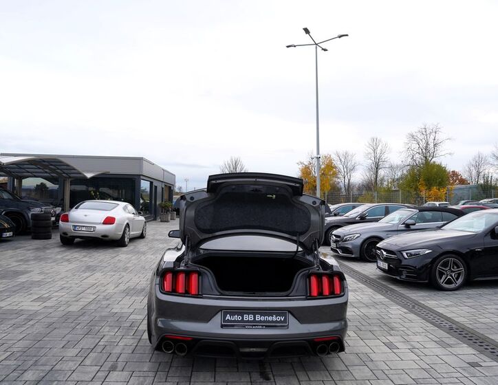 Ford Mustang 14