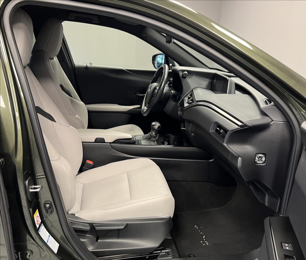 Lexus UX 250h