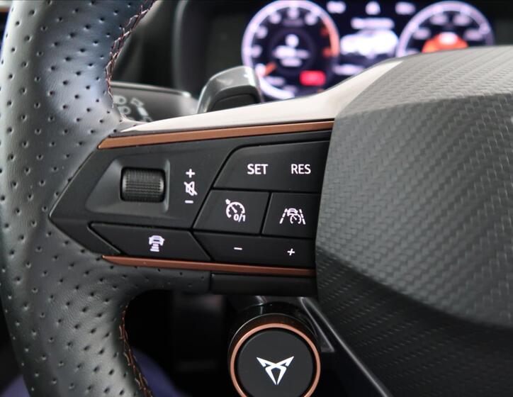 Cupra Formentor 32