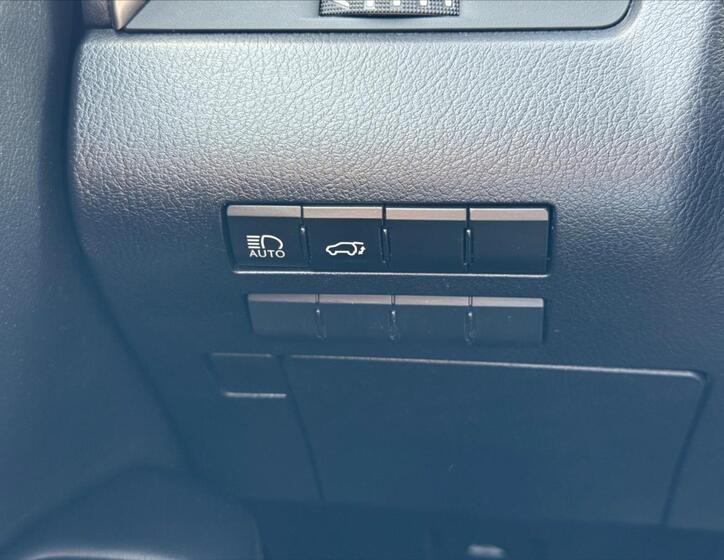 Lexus RX 450h 21