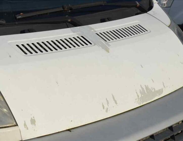 Fiat Ducato 8