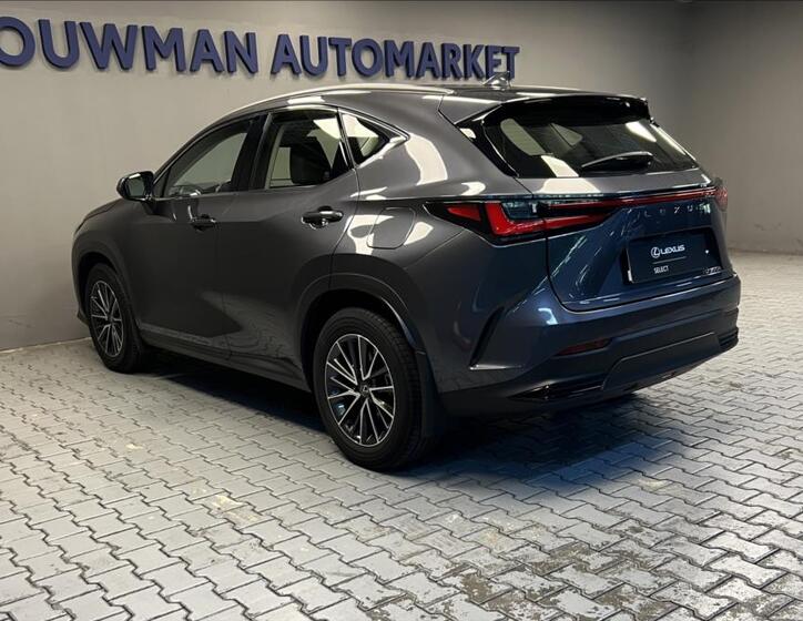 Lexus NX 350h 13