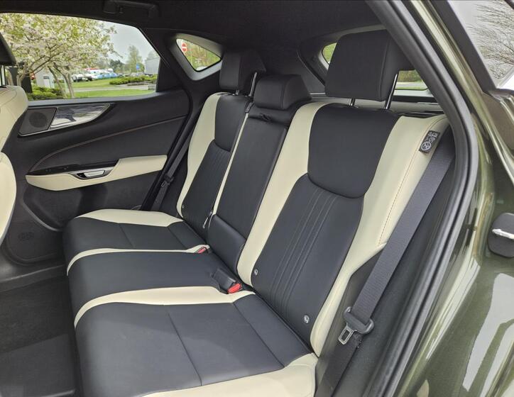 Lexus NX 450h plus 19