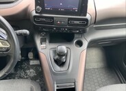 Peugeot Rifter 10