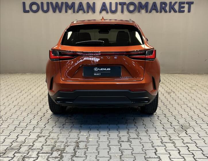 Lexus NX 450h plus 12