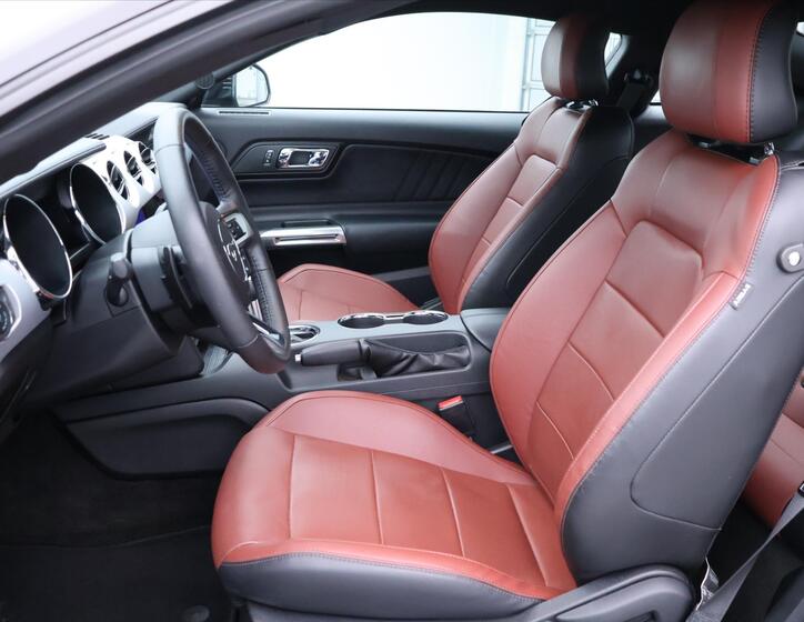 Ford Mustang 12