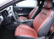 Ford Mustang 12
