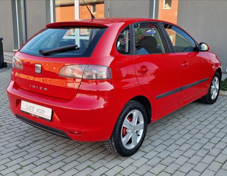 Seat Ibiza 10