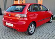 Seat Ibiza 10