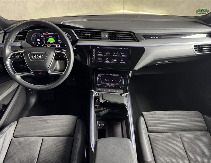 Audi e-tron 19