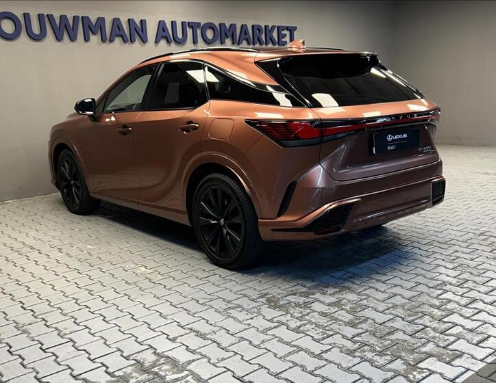 Lexus RX 500h 13