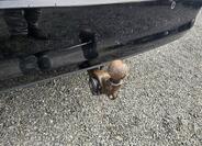 Volkswagen Golf 29