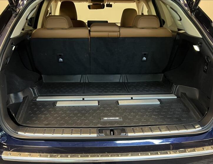 Lexus RX 450h 9