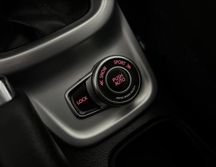 Suzuki Vitara 21
