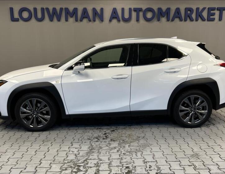 Lexus UX 300h 3