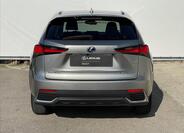 Lexus NX 300h 5