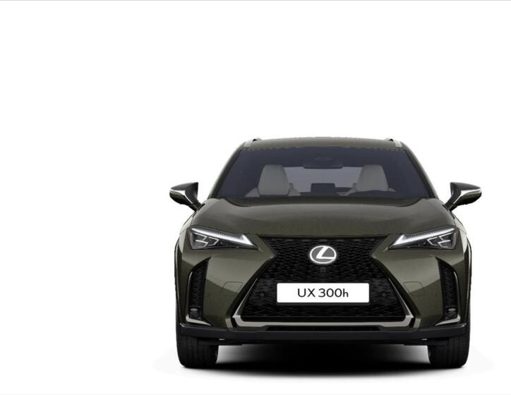 Lexus UX 300h 5