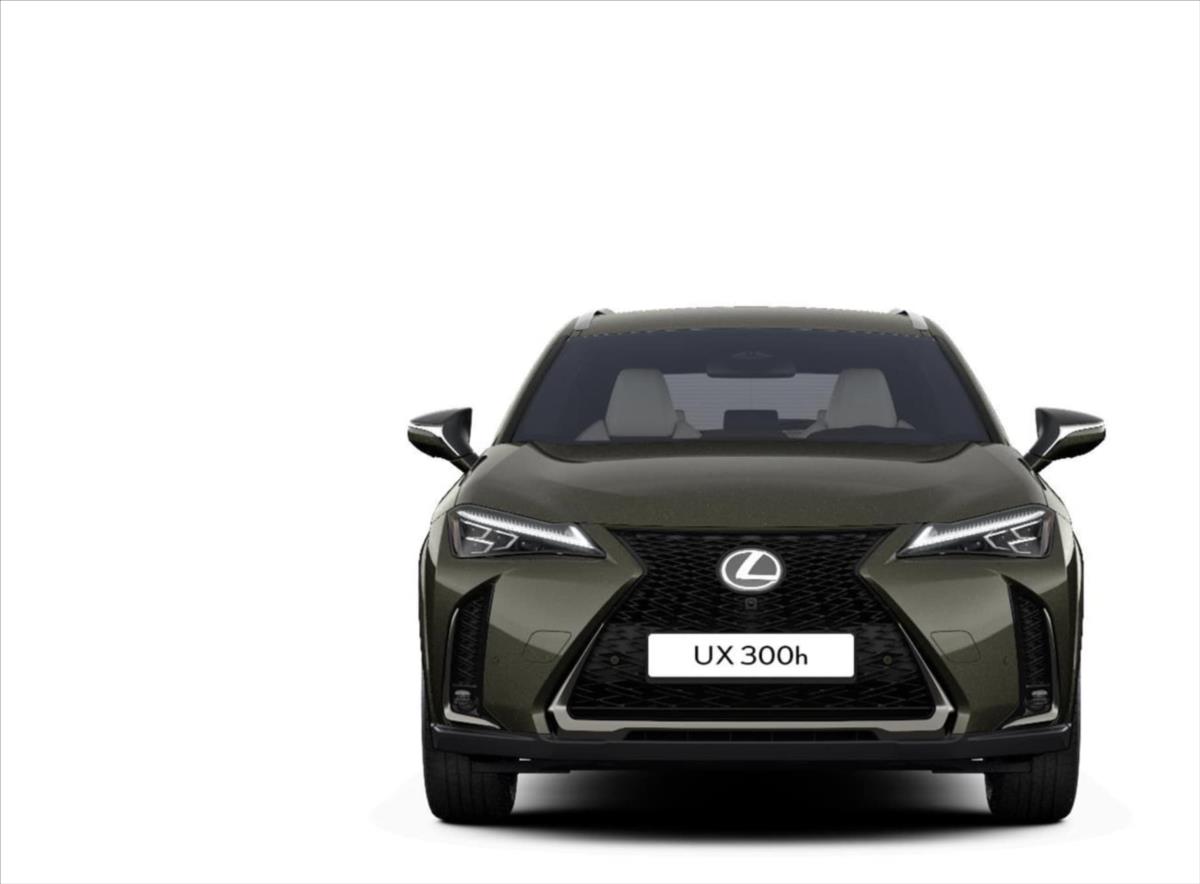 Lexus UX 300h