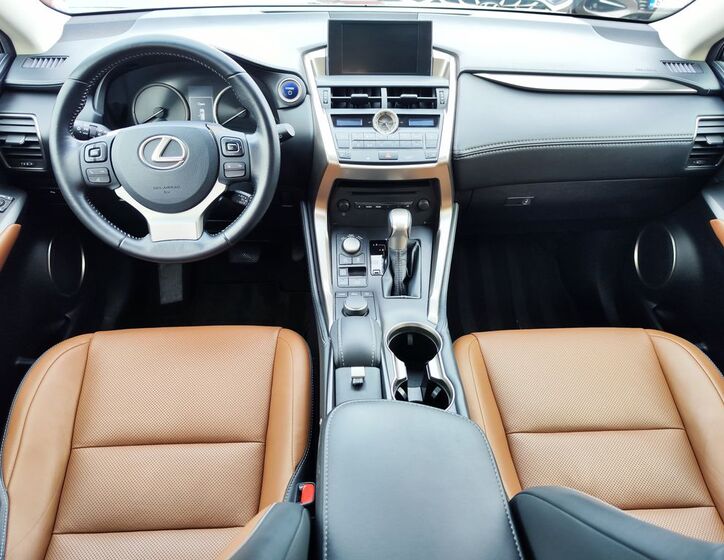 Lexus NX 300 14
