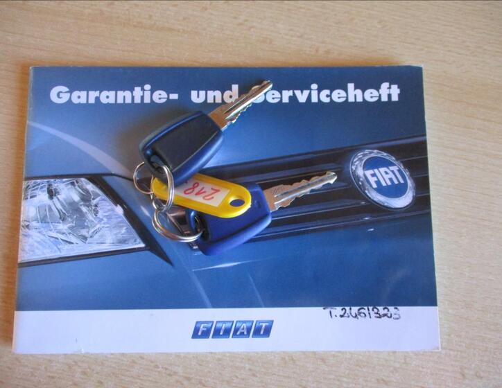 Fiat Punto 19