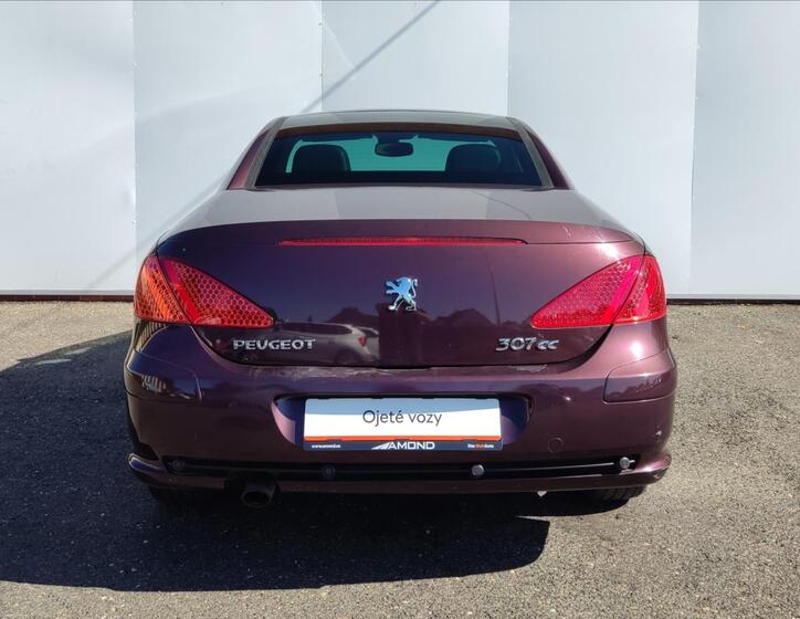 Peugeot 307 25