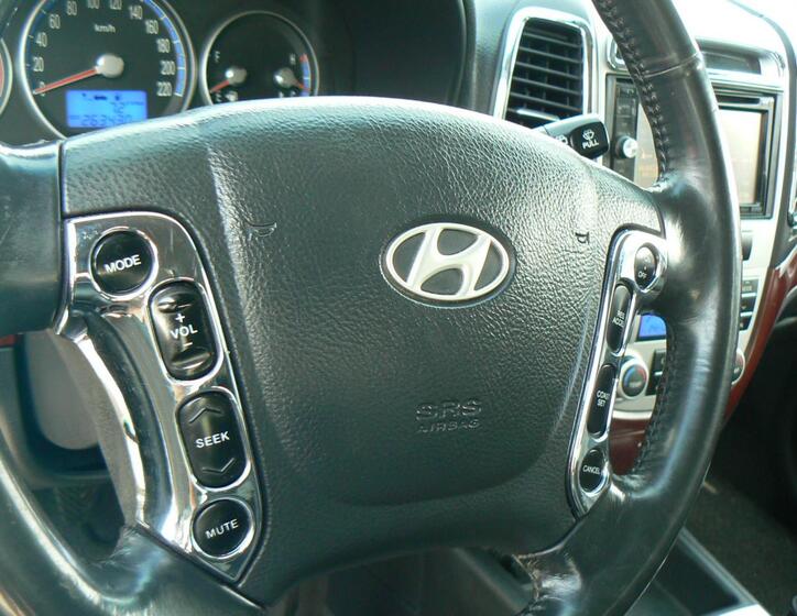 Hyundai Santa Fe 19