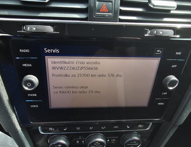 Volkswagen Golf 19