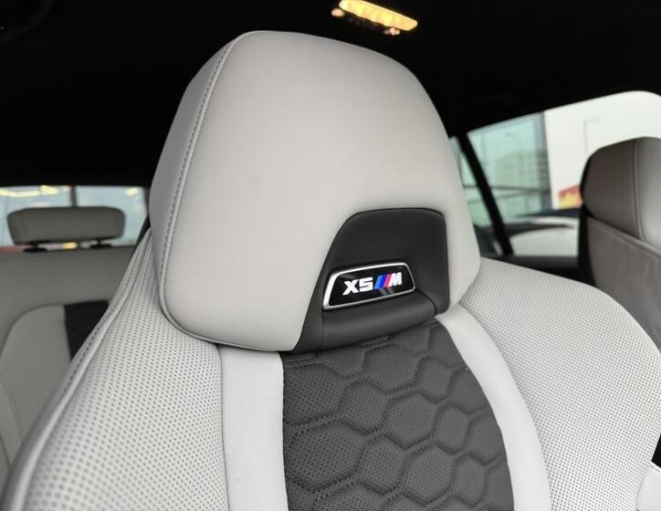 BMW X5 24