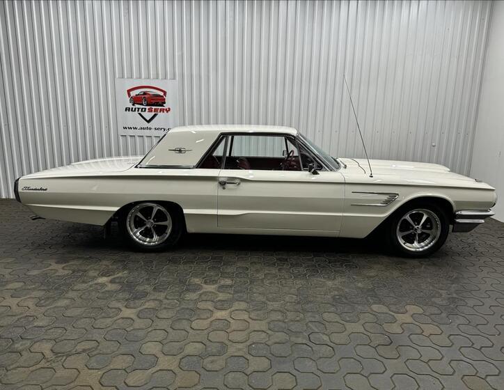 Ford Thunderbird 17